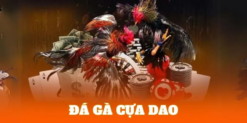 Đá Gà 8KBET | Sảnh Cược Chọi Kê Với Hệ Thống Live Siêu Nét 4 Đấu gà cựa dao lựa chọn được ưu tiên hàng đầu